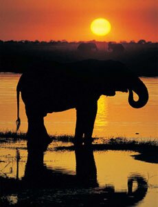 African Sunset